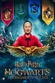 ver Harry Potter: Torneo de las Casas de Hogwarts online